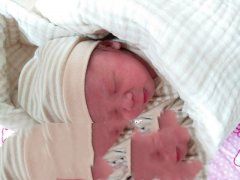 三年求子梦，终于在广州供卵公司实现，恭喜陈女士