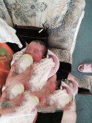 彻底丧失了做母亲的资格，没想到在广州供卵专家的帮助下还能当上代妈