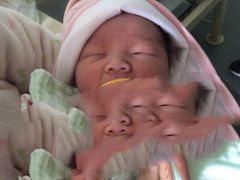 七斤八两的胖小子在耿若广州代妈公司圆梦啦