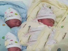 恭喜N先生在广州供卵机构圆梦，喜获双胞胎男宝