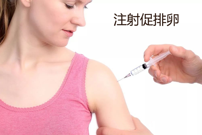 医生正在注射促排卵