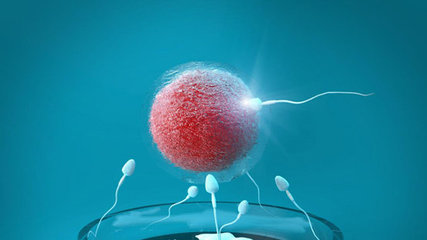 为什么近年来不孕不育发生率越来越高